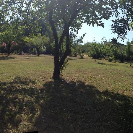 Secluded 1.8 Acre Garden Villa, For Exclusive Use With Stunning Views. Каландра Экстерьер фото